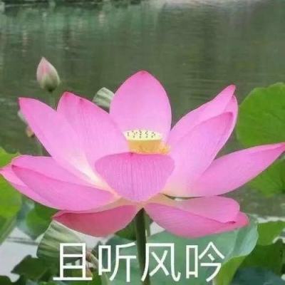 安徽省安庆市副市长陆应平接受审查调查